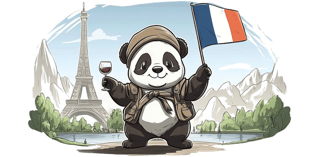 TikTok | France | Mail | Cookie