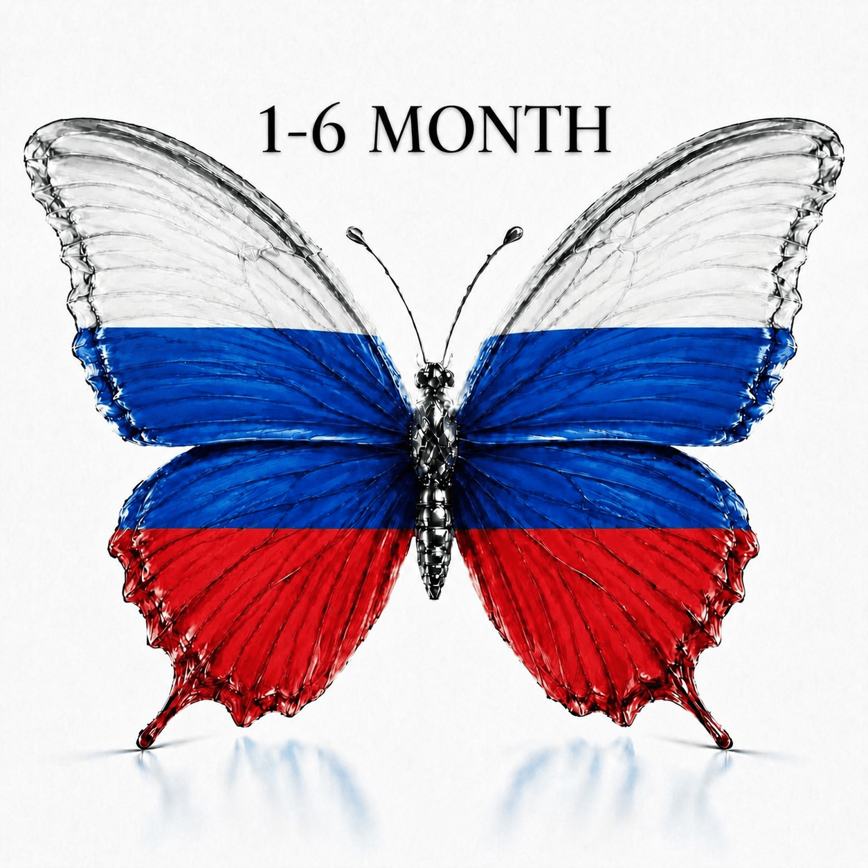 Telegram | +7 Russia 1-6 month old | Tdata - Session + Json | 2fa