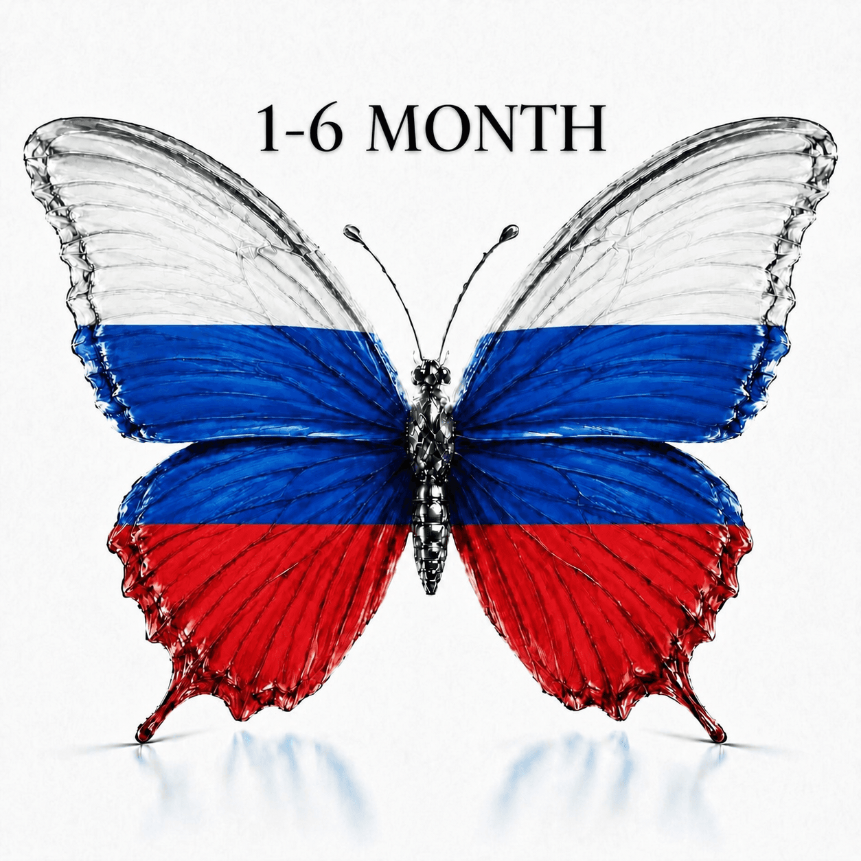 Telegram | +7 Russia 1-6 month old | Tdata - Session + Json | 2fa